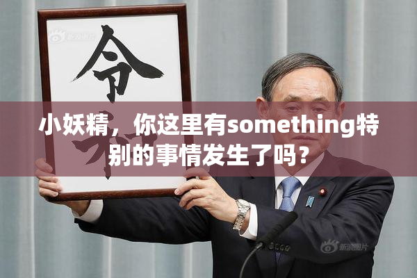 小妖精，你这里有something特别的事情发生了吗？