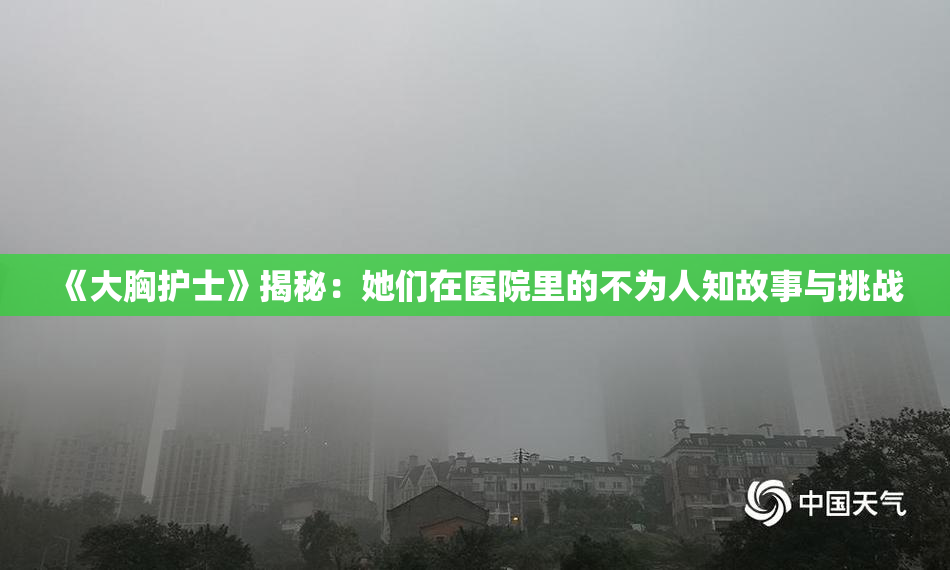 《大胸护士》揭秘：她们在医院里的不为人知故事与挑战