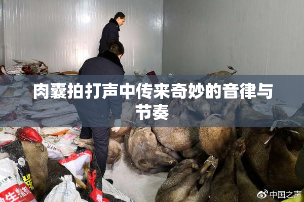 肉囊拍打声中传来奇妙的音律与节奏