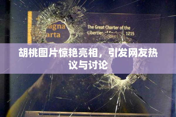胡桃图片惊艳亮相，引发网友热议与讨论