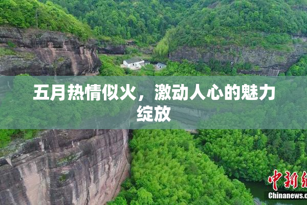 五月热情似火，激动人心的魅力绽放