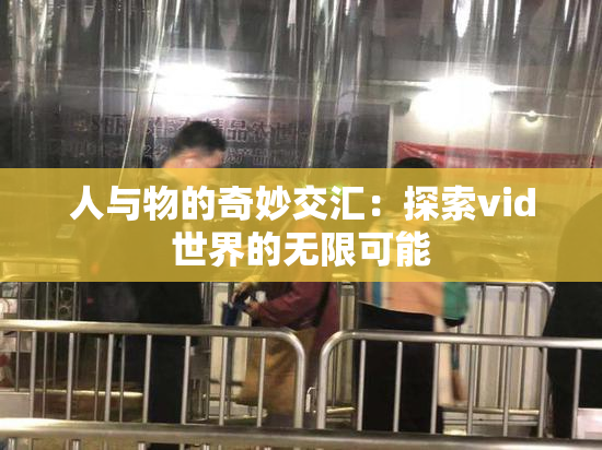人与物的奇妙交汇：探索vid世界的无限可能