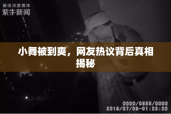 小舞被到爽，网友热议背后真相揭秘