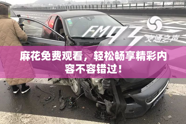 麻花免费观看，轻松畅享精彩内容不容错过！