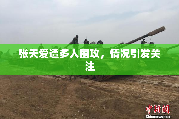 张天爱遭多人围攻，情况引发关注