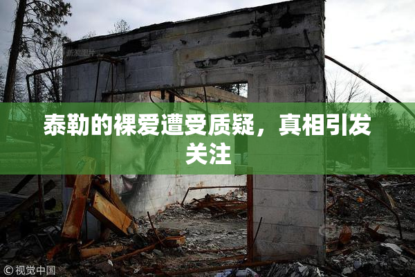 泰勒的裸爱遭受质疑，真相引发关注