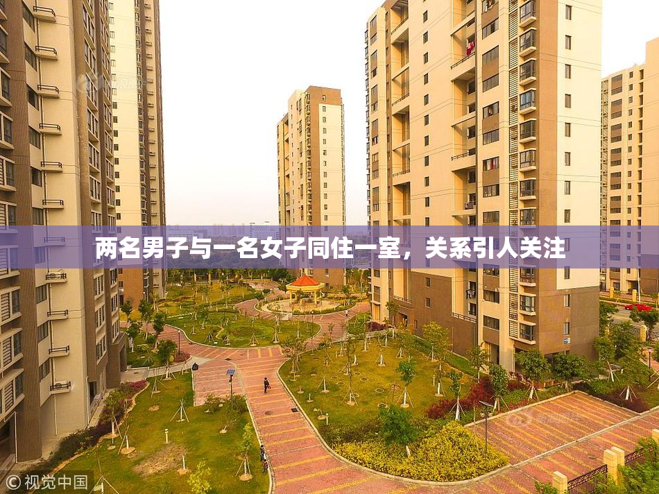 两名男子与一名女子同住一室，关系引人关注