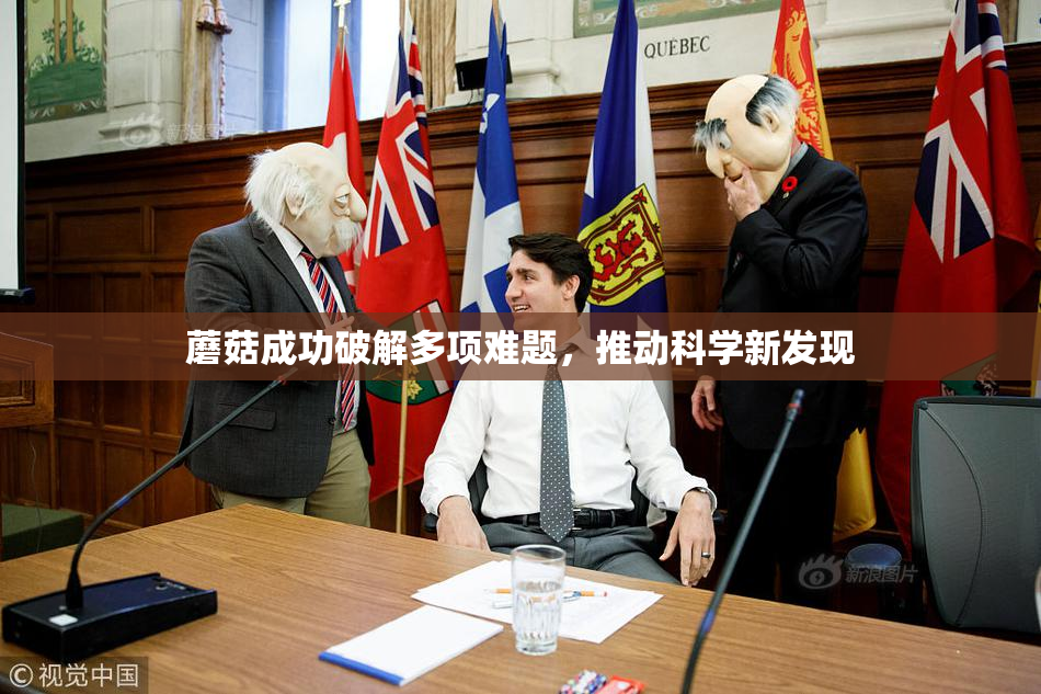 蘑菇成功破解多项难题，推动科学新发现