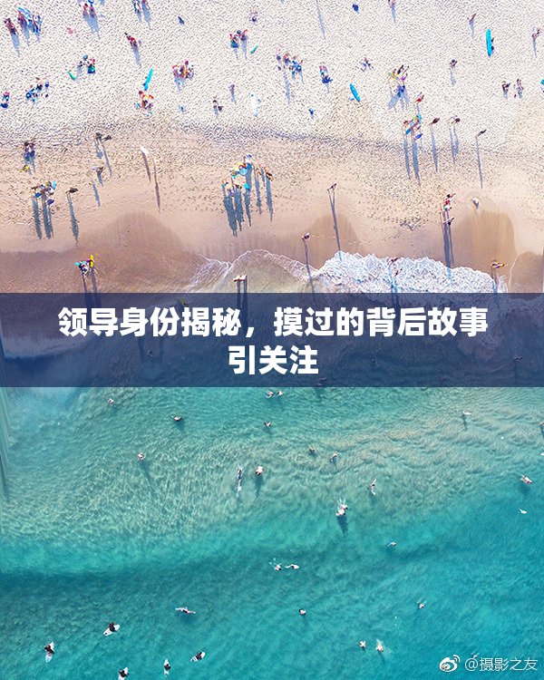 领导身份揭秘，摸过的背后故事引关注