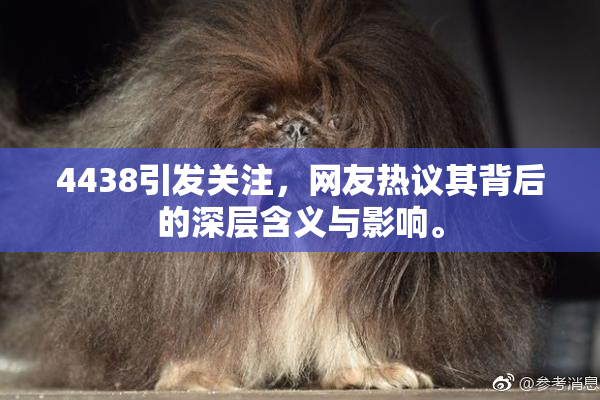 4438引发关注，网友热议其背后的深层含义与影响。