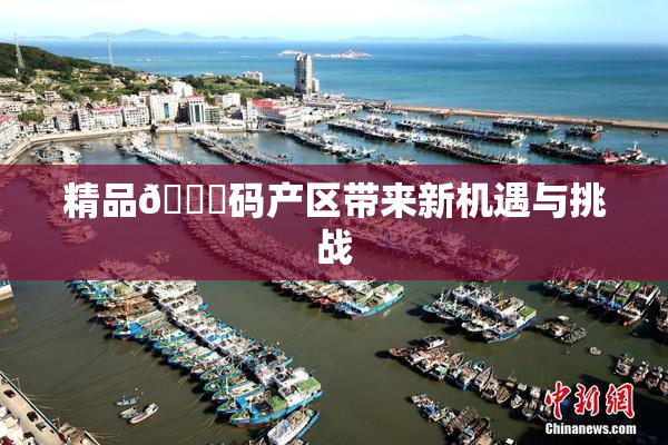 精品🈚码产区带来新机遇与挑战