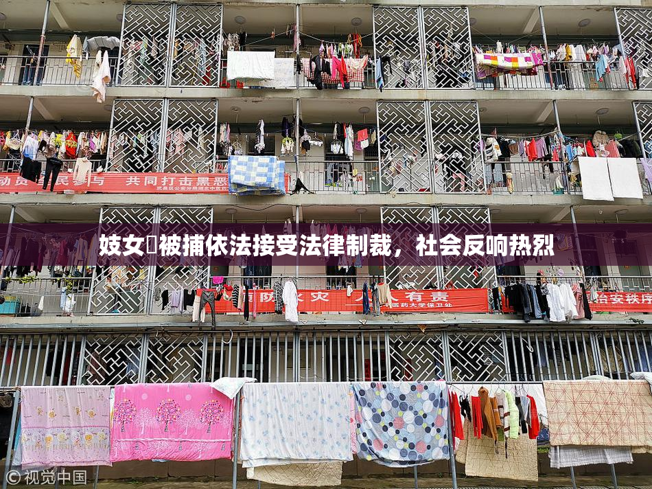 妓女梱被捕依法接受法律制裁，社会反响热烈