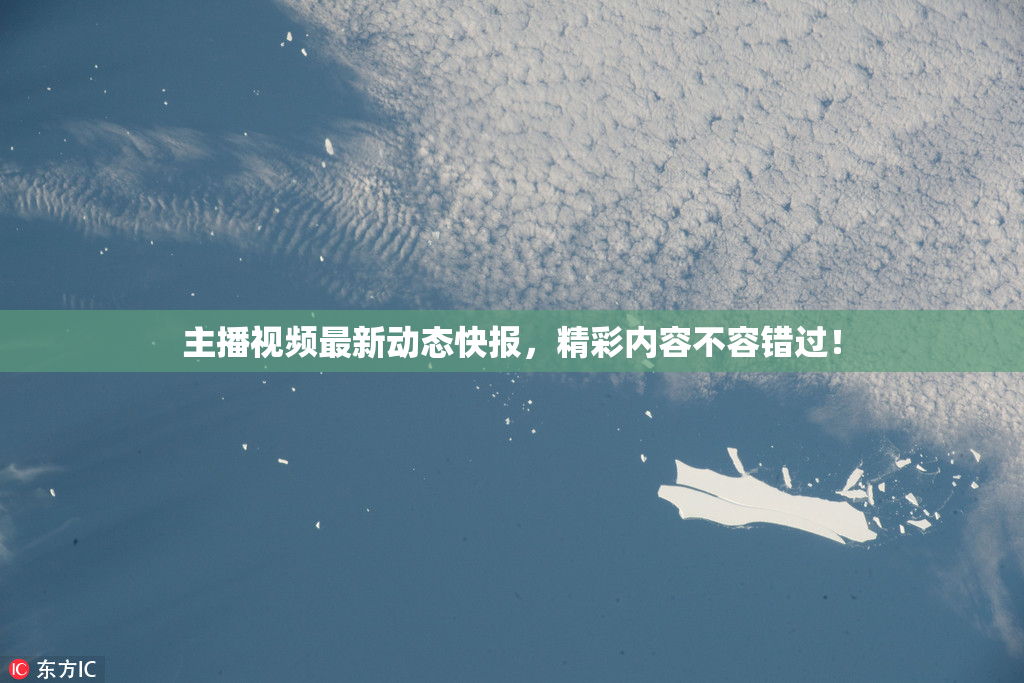 主播视频最新动态快报，精彩内容不容错过！