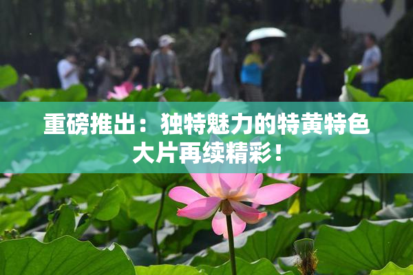 重磅推出：独特魅力的特黄特色大片再续精彩！