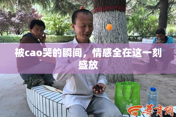 被cao哭的瞬间，情感全在这一刻盛放