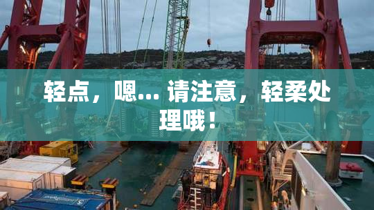 轻点，嗯... 请注意，轻柔处理哦！