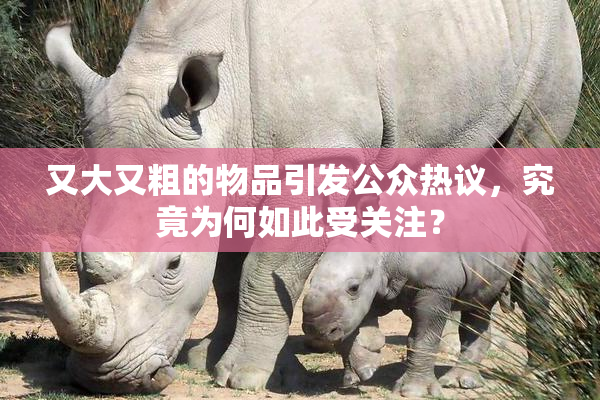 又大又粗的物品引发公众热议，究竟为何如此受关注？