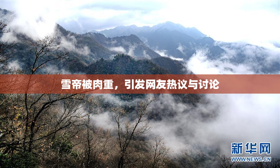 雪帝被肉重，引发网友热议与讨论