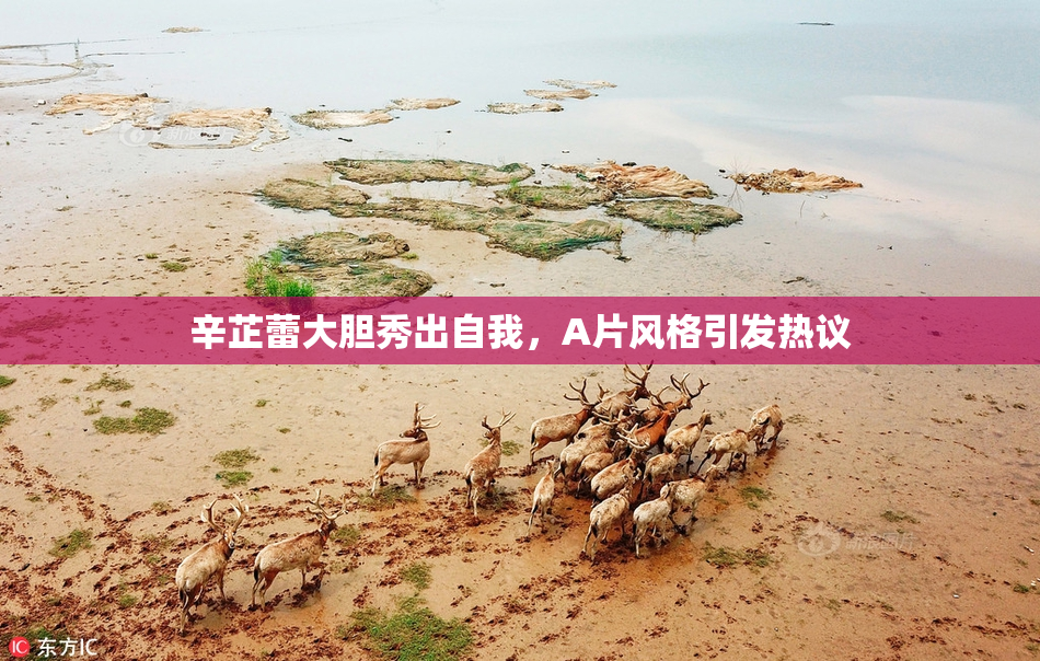 辛芷蕾大胆秀出自我，A片风格引发热议
