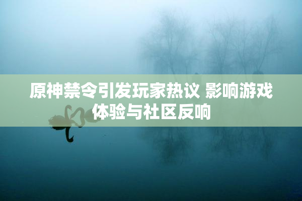 原神禁令引发玩家热议 影响游戏体验与社区反响