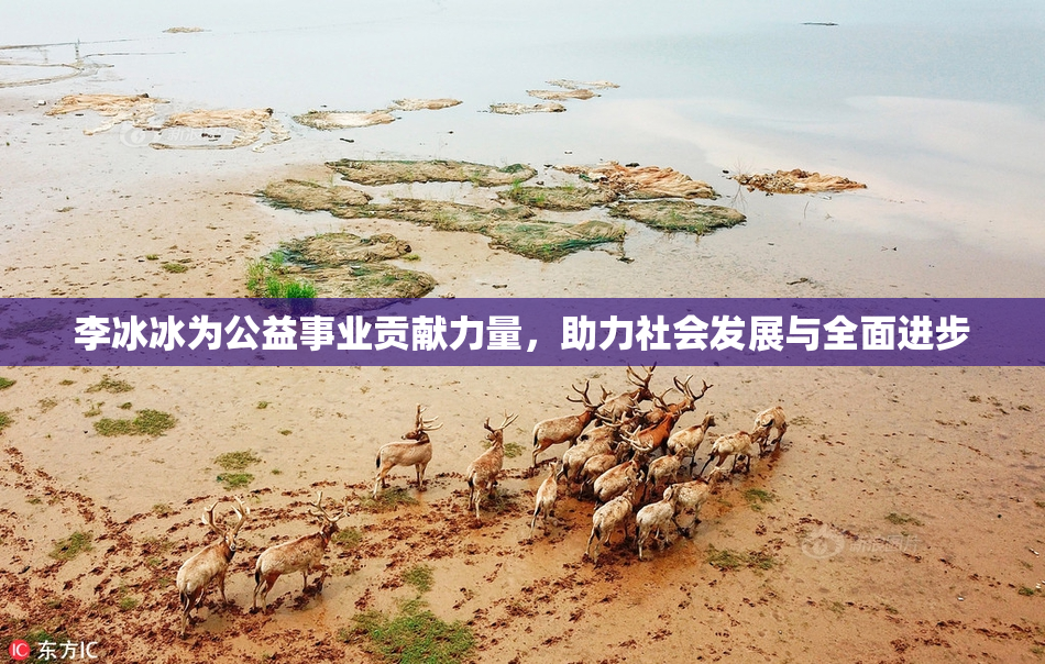 李冰冰为公益事业贡献力量，助力社会发展与全面进步