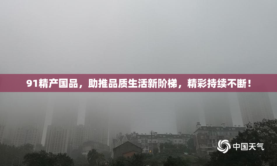 91精产国品，助推品质生活新阶梯，精彩持续不断！