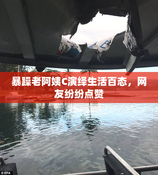 暴躁老阿姨C演绎生活百态，网友纷纷点赞