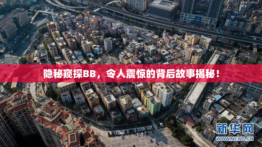 隐秘窥探BB，令人震惊的背后故事揭秘！