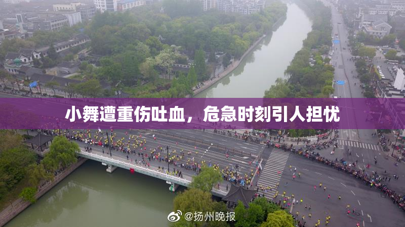 小舞遭重伤吐血，危急时刻引人担忧