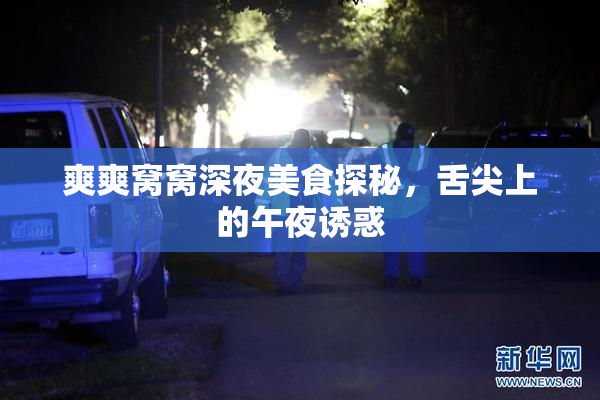 爽爽窝窝深夜美食探秘，舌尖上的午夜诱惑