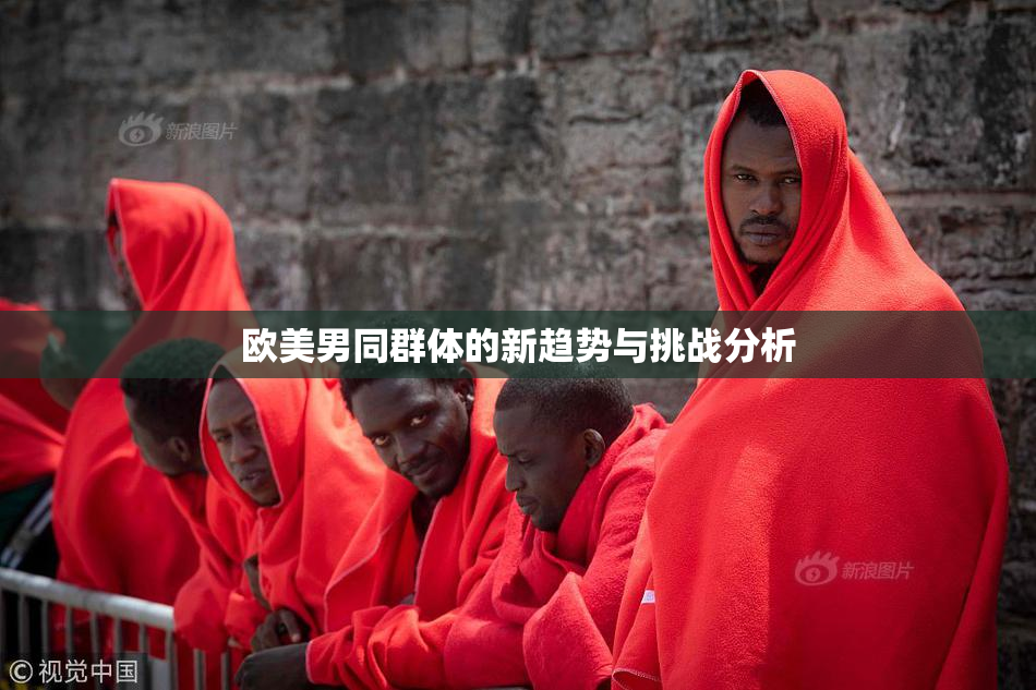 欧美男同群体的新趋势与挑战分析