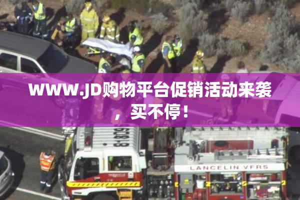 WWW.JD购物平台促销活动来袭，买不停！