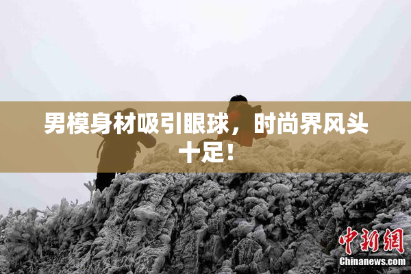 男模身材吸引眼球，时尚界风头十足！