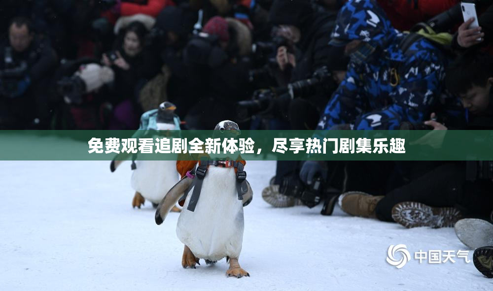 免费观看追剧全新体验，尽享热门剧集乐趣