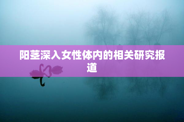 阳茎深入女性体内的相关研究报道