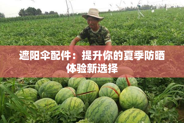 遮阳伞配件：提升你的夏季防晒体验新选择