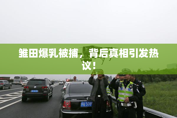 雏田爆乳被捕，背后真相引发热议！