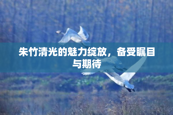 朱竹清光的魅力绽放，备受瞩目与期待