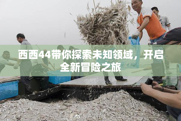 西西44带你探索未知领域，开启全新冒险之旅