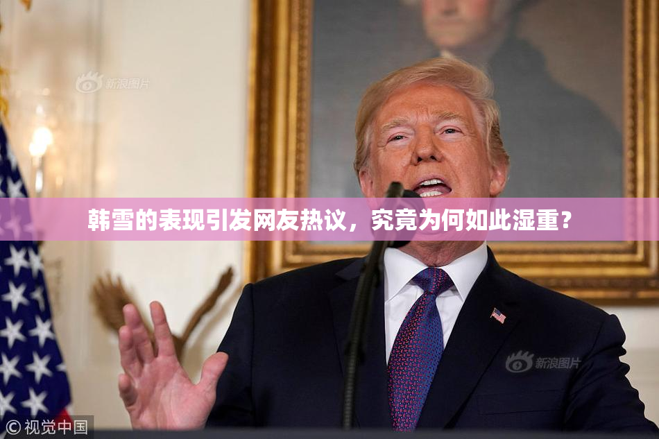 韩雪的表现引发网友热议，究竟为何如此湿重？