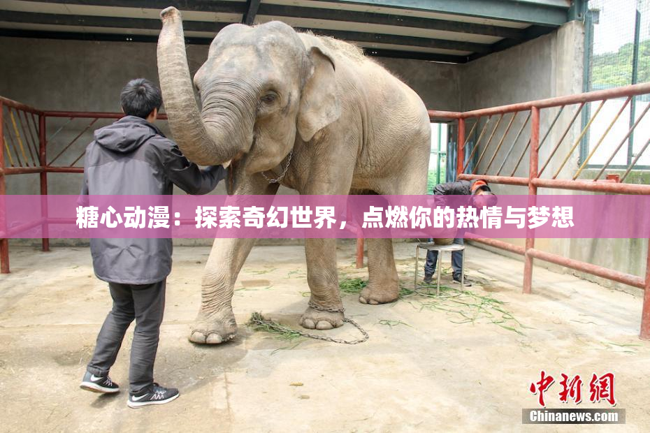 糖心动漫：探索奇幻世界，点燃你的热情与梦想