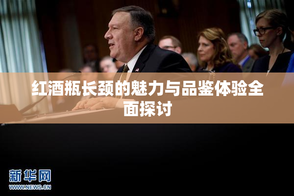 红酒瓶长颈的魅力与品鉴体验全面探讨
