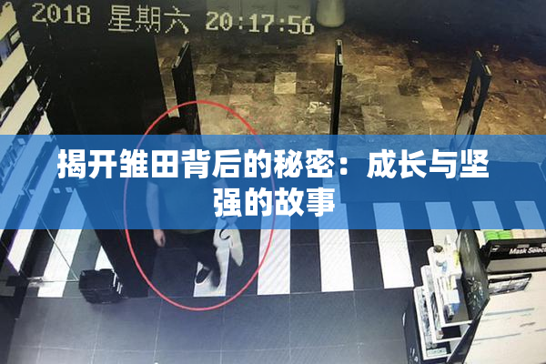揭开雏田背后的秘密：成长与坚强的故事