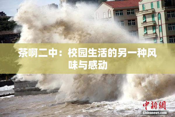 茶啊二中：校园生活的另一种风味与感动