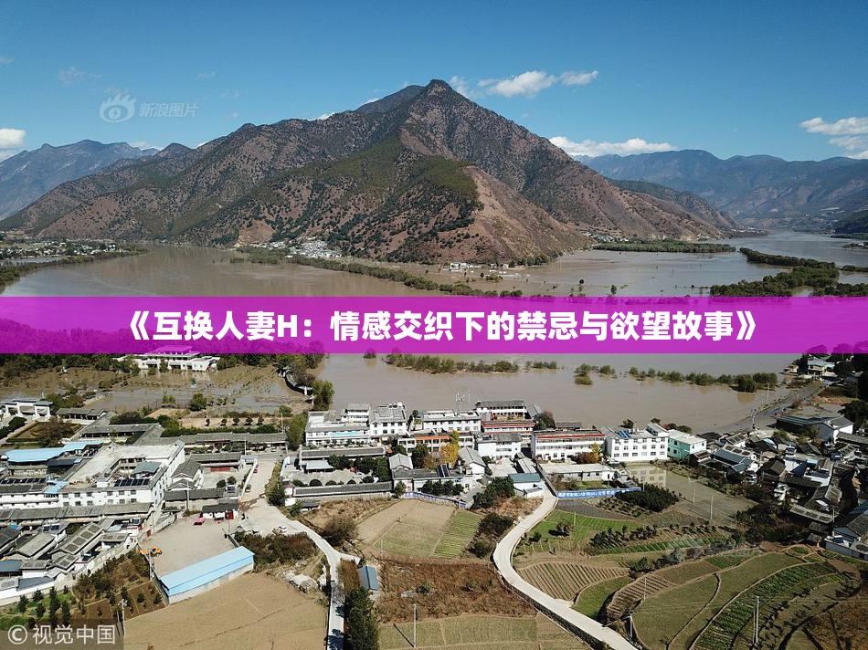 《互换人妻H：情感交织下的禁忌与欲望故事》