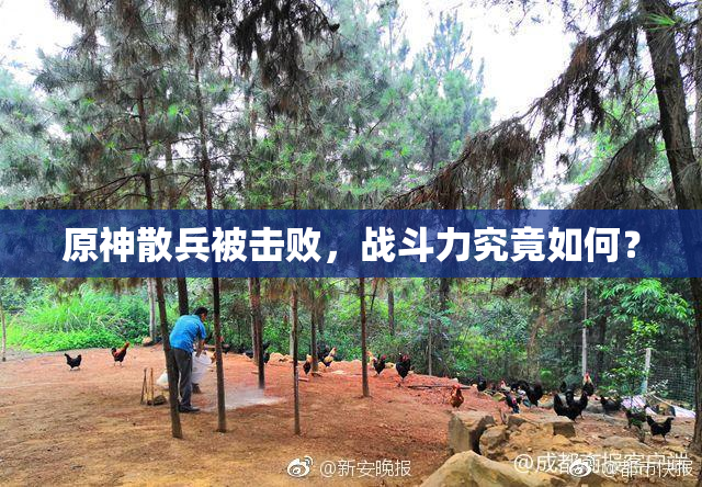 原神散兵被击败，战斗力究竟如何？