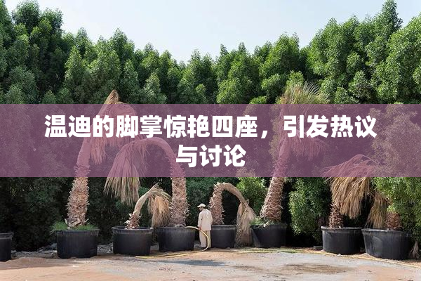 温迪的脚掌惊艳四座，引发热议与讨论