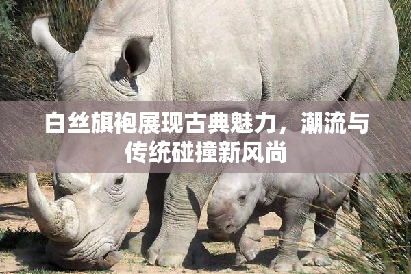 白丝旗袍展现古典魅力，潮流与传统碰撞新风尚