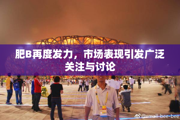 肥B再度发力，市场表现引发广泛关注与讨论
