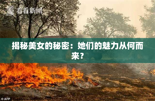 揭秘美女的秘密：她们的魅力从何而来？